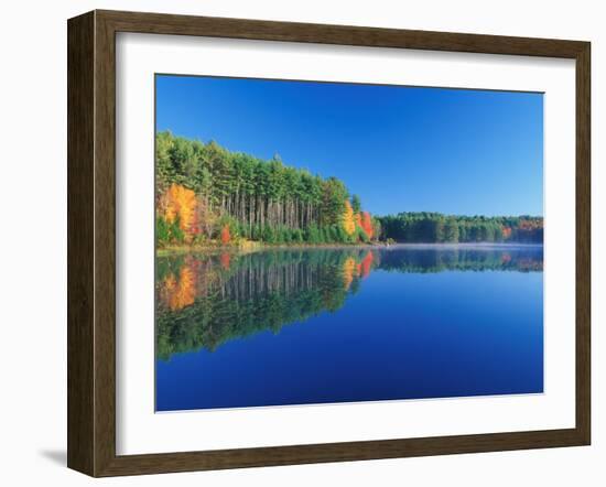 White Pines and Hardwoods, Meadow Lake, New Hampshire, USA-Jerry & Marcy Monkman-Framed Premium Photographic Print