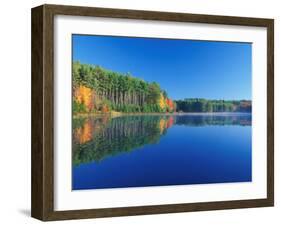 White Pines and Hardwoods, Meadow Lake, New Hampshire, USA-Jerry & Marcy Monkman-Framed Premium Photographic Print