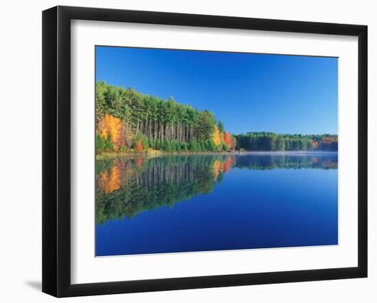 White Pines and Hardwoods, Meadow Lake, New Hampshire, USA-Jerry & Marcy Monkman-Framed Premium Photographic Print