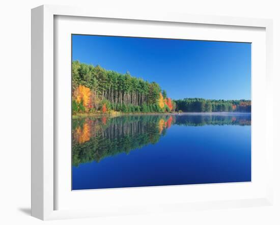 White Pines and Hardwoods, Meadow Lake, New Hampshire, USA-Jerry & Marcy Monkman-Framed Premium Photographic Print