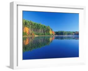 White Pines and Hardwoods, Meadow Lake, New Hampshire, USA-Jerry & Marcy Monkman-Framed Premium Photographic Print