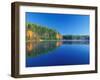 White Pines and Hardwoods, Meadow Lake, New Hampshire, USA-Jerry & Marcy Monkman-Framed Photographic Print