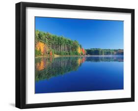 White Pines and Hardwoods, Meadow Lake, New Hampshire, USA-Jerry & Marcy Monkman-Framed Photographic Print