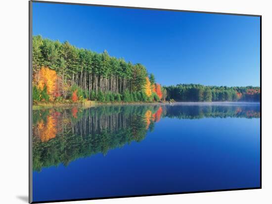 White Pines and Hardwoods, Meadow Lake, New Hampshire, USA-Jerry & Marcy Monkman-Mounted Photographic Print