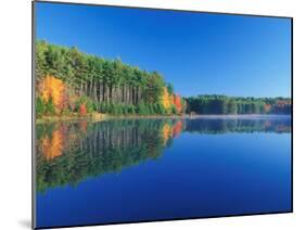 White Pines and Hardwoods, Meadow Lake, New Hampshire, USA-Jerry & Marcy Monkman-Mounted Photographic Print