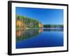 White Pines and Hardwoods, Meadow Lake, New Hampshire, USA-Jerry & Marcy Monkman-Framed Photographic Print