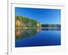 White Pines and Hardwoods, Meadow Lake, New Hampshire, USA-Jerry & Marcy Monkman-Framed Photographic Print