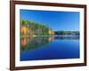 White Pines and Hardwoods, Meadow Lake, New Hampshire, USA-Jerry & Marcy Monkman-Framed Photographic Print