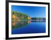 White Pines and Hardwoods, Meadow Lake, New Hampshire, USA-Jerry & Marcy Monkman-Framed Photographic Print