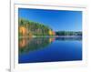 White Pines and Hardwoods, Meadow Lake, New Hampshire, USA-Jerry & Marcy Monkman-Framed Photographic Print