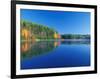 White Pines and Hardwoods, Meadow Lake, New Hampshire, USA-Jerry & Marcy Monkman-Framed Photographic Print