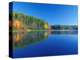 White Pines and Hardwoods, Meadow Lake, New Hampshire, USA-Jerry & Marcy Monkman-Stretched Canvas