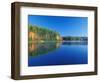 White Pines and Hardwoods, Meadow Lake, New Hampshire, USA-Jerry & Marcy Monkman-Framed Photographic Print