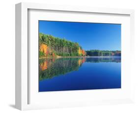 White Pines and Hardwoods, Meadow Lake, New Hampshire, USA-Jerry & Marcy Monkman-Framed Photographic Print