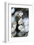 White Plum Blossoms.-fpdress-Framed Photographic Print