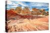 White Pocket Area of Vermilion Cliffs National Monument-lucky-photographer-Stretched Canvas
