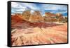 White Pocket Area of Vermilion Cliffs National Monument-lucky-photographer-Framed Stretched Canvas