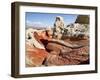 White Pocket, Vermilion Cliffs National Monument, Arizona, USA-Charles Crust-Framed Photographic Print