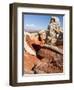 White Pocket, Vermilion Cliffs National Monument, Arizona, USA-Charles Crust-Framed Photographic Print