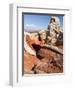 White Pocket, Vermilion Cliffs National Monument, Arizona, USA-Charles Crust-Framed Photographic Print