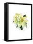 White Poinsettia, 2014-John Keeling-Framed Stretched Canvas