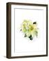 White Poinsettia, 2014-John Keeling-Framed Giclee Print