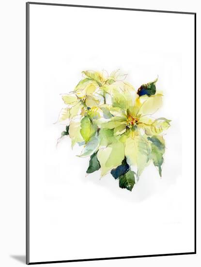 White Poinsettia, 2014-John Keeling-Mounted Giclee Print