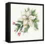 White Poinsettia-PI Studio-Framed Stretched Canvas