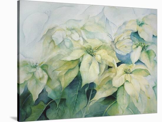 White Poinsettia-Karen Armitage-Stretched Canvas