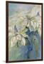 White Poinsettia-Karen Armitage-Framed Giclee Print