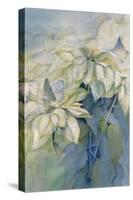 White Poinsettia-Karen Armitage-Stretched Canvas