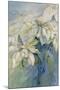 White Poinsettia-Karen Armitage-Mounted Premium Giclee Print