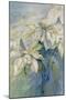 White Poinsettia-Karen Armitage-Mounted Giclee Print