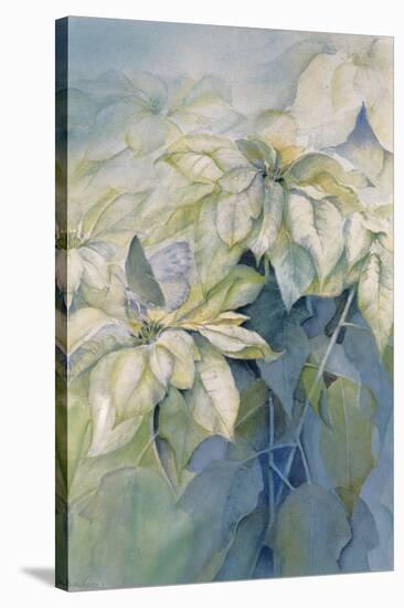 White Poinsettia-Karen Armitage-Stretched Canvas