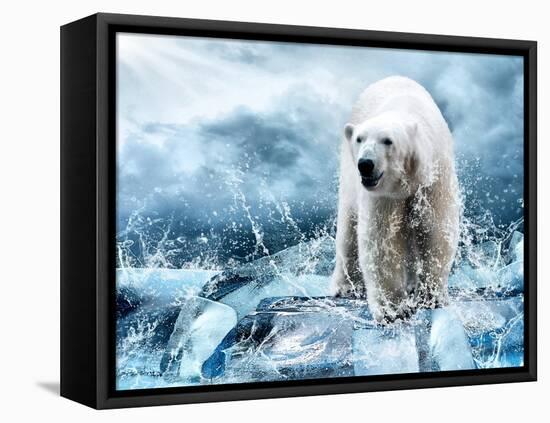 White Polar Bear Hunter On The Ice In Water Drops-yuran-78-Framed Stretched Canvas