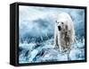 White Polar Bear Hunter On The Ice In Water Drops-yuran-78-Framed Stretched Canvas