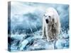 White Polar Bear Hunter On The Ice In Water Drops-yuran-78-Stretched Canvas