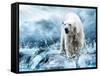 White Polar Bear Hunter On The Ice In Water Drops-yuran-78-Framed Stretched Canvas