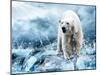 White Polar Bear Hunter On The Ice In Water Drops-yuran-78-Mounted Photographic Print