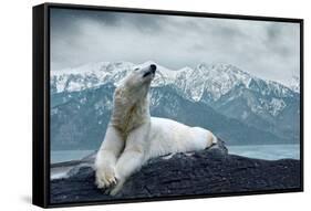 White Polar Bear on the Ice-yuran-78-Framed Stretched Canvas