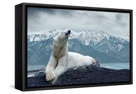 White Polar Bear on the Ice-yuran-78-Framed Stretched Canvas