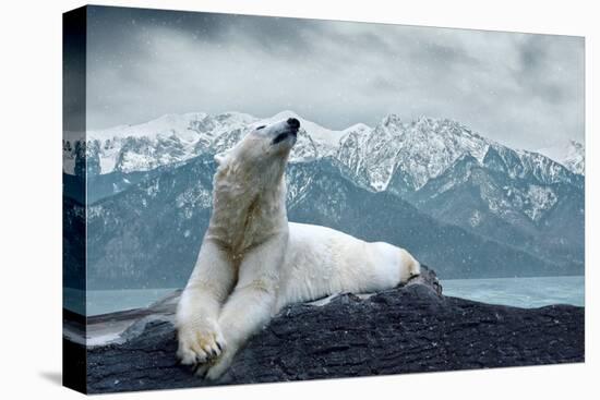 White Polar Bear on the Ice-yuran-78-Stretched Canvas
