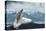 White Polar Bear on the Ice-yuran-78-Stretched Canvas