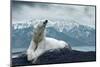 White Polar Bear on the Ice-yuran-78-Mounted Premium Photographic Print