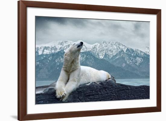 White Polar Bear on the Ice-yuran-78-Framed Photographic Print