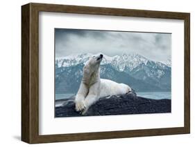 White Polar Bear on the Ice-yuran-78-Framed Photographic Print