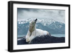 White Polar Bear on the Ice-yuran-78-Framed Photographic Print