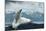 White Polar Bear on the Ice-yuran-78-Mounted Photographic Print