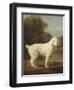 White Poodle in a Punt, 1780-George Stubbs-Framed Art Print