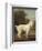 White Poodle in a Punt, 1780-George Stubbs-Framed Art Print